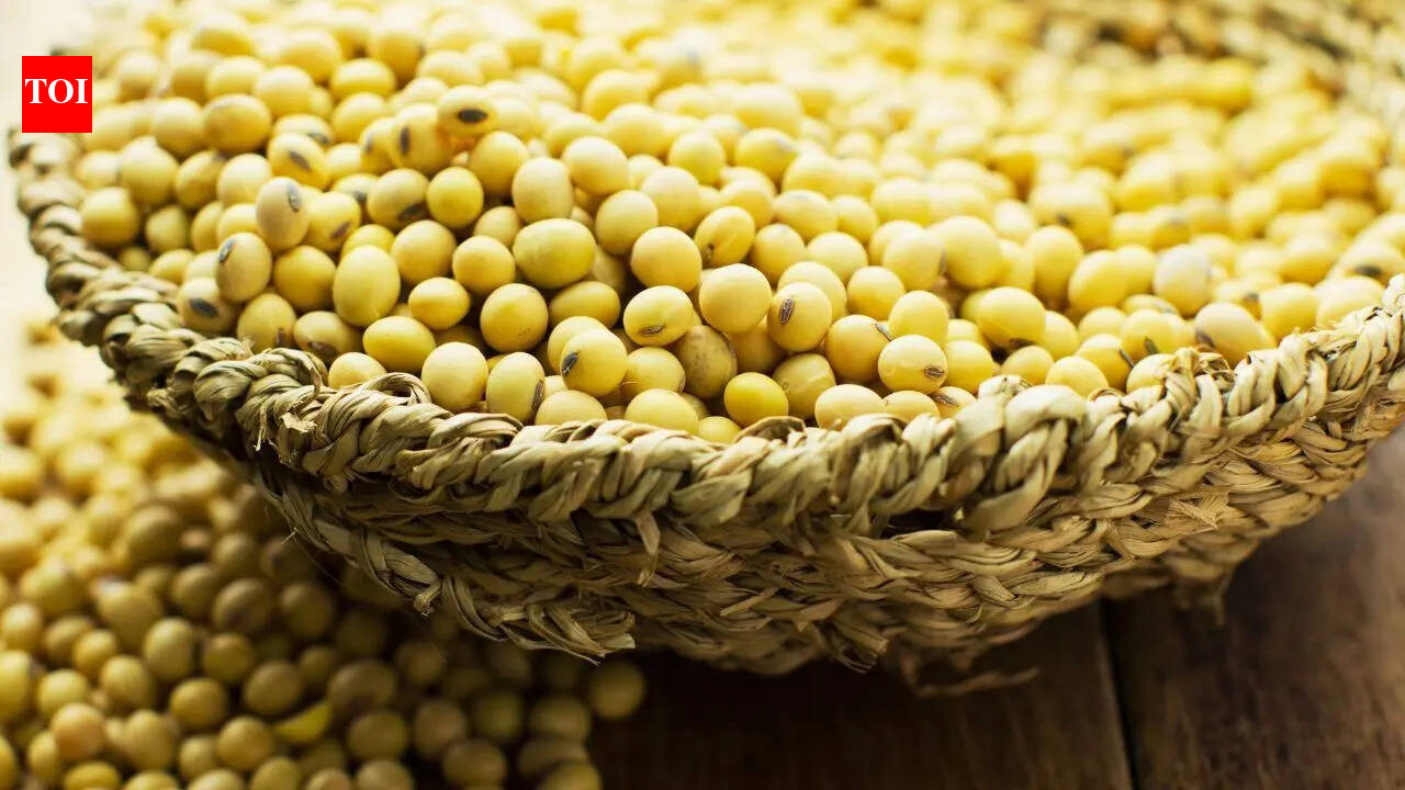 Can eating soybean cause breast cancer? Here's what experts say