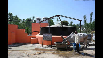 Amid LPG shortage, Haridwar village shows how biogas can power rural kitchens