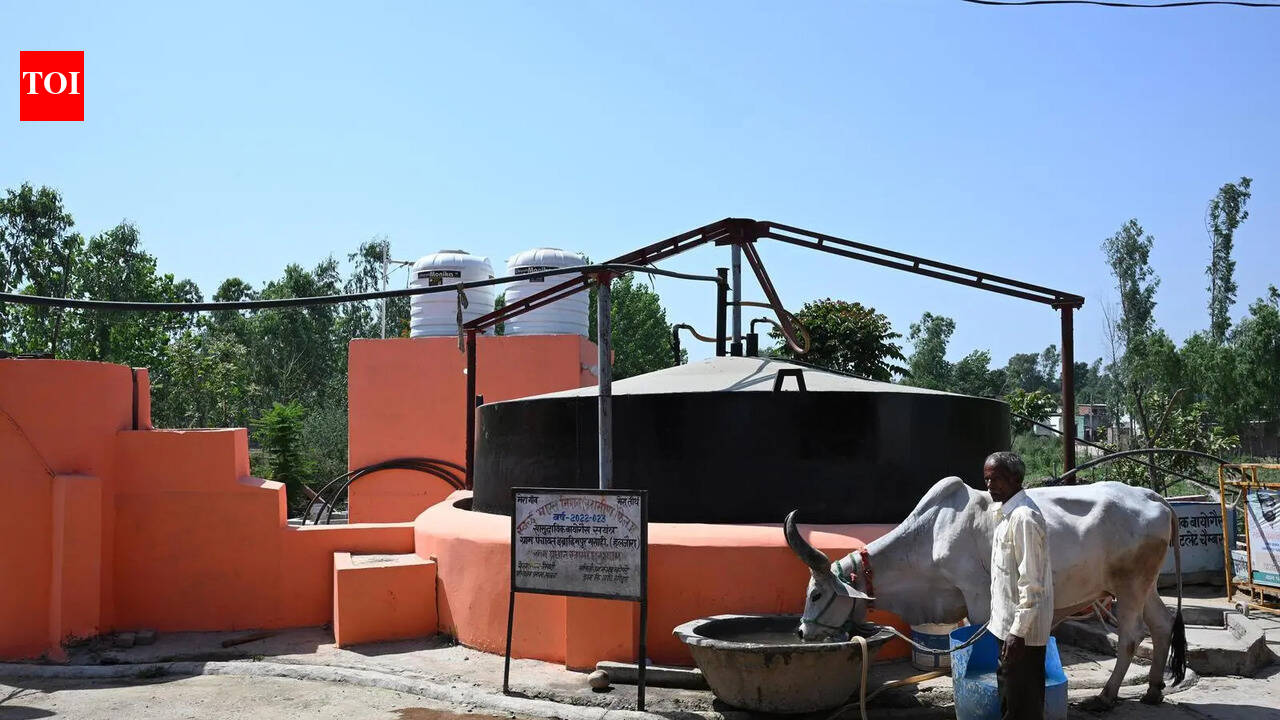Amid LPG shortage, Haridwar village shows how biogas can power rural kitchens
