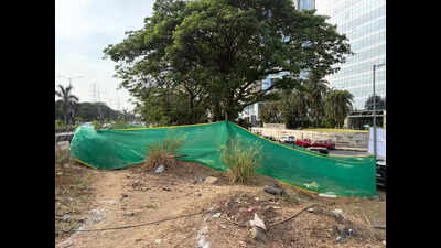 IIT-Bombay team inspects Palm Beach Road underpass site in Navi Mumbai