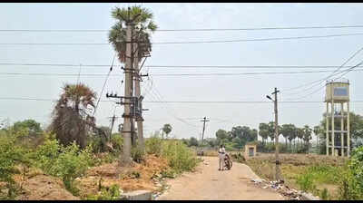 Two teens charred to death in transformer blast near Sriperumbudur near Chennai, got electrocuted when trying to pick ice apples stuck in wire