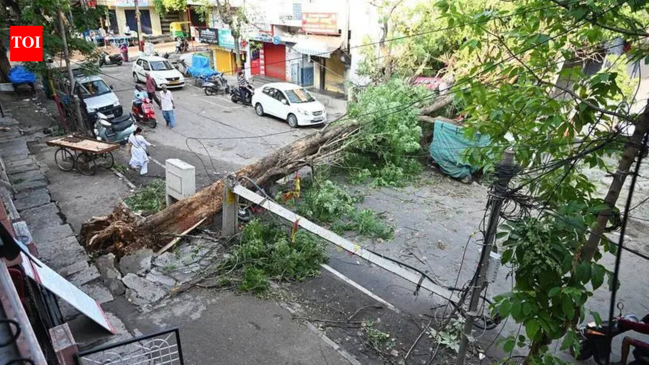 11cm in 1 hour: Deluge could have filled 30,000 pools, two-thirds of Bengaluru’s lakes