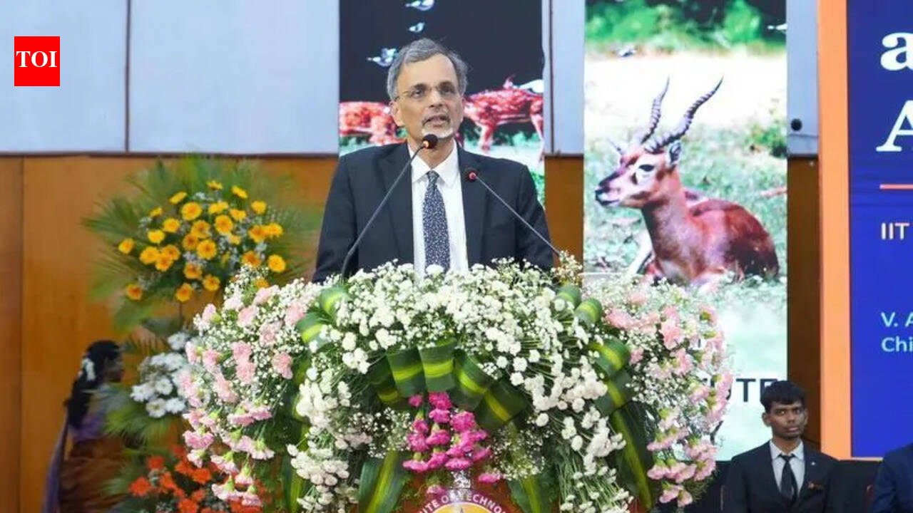 India’s challenge lies in developing AI-insulated jobs, says chief economic adviser V Anantha Nageswaran at Chennai event