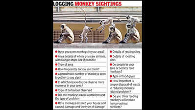 Ahmedabad to map monkey menace with first census