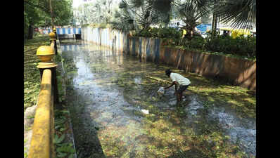 Three years after fatal drowning, KR Circle underpass floods again in Bengaluru