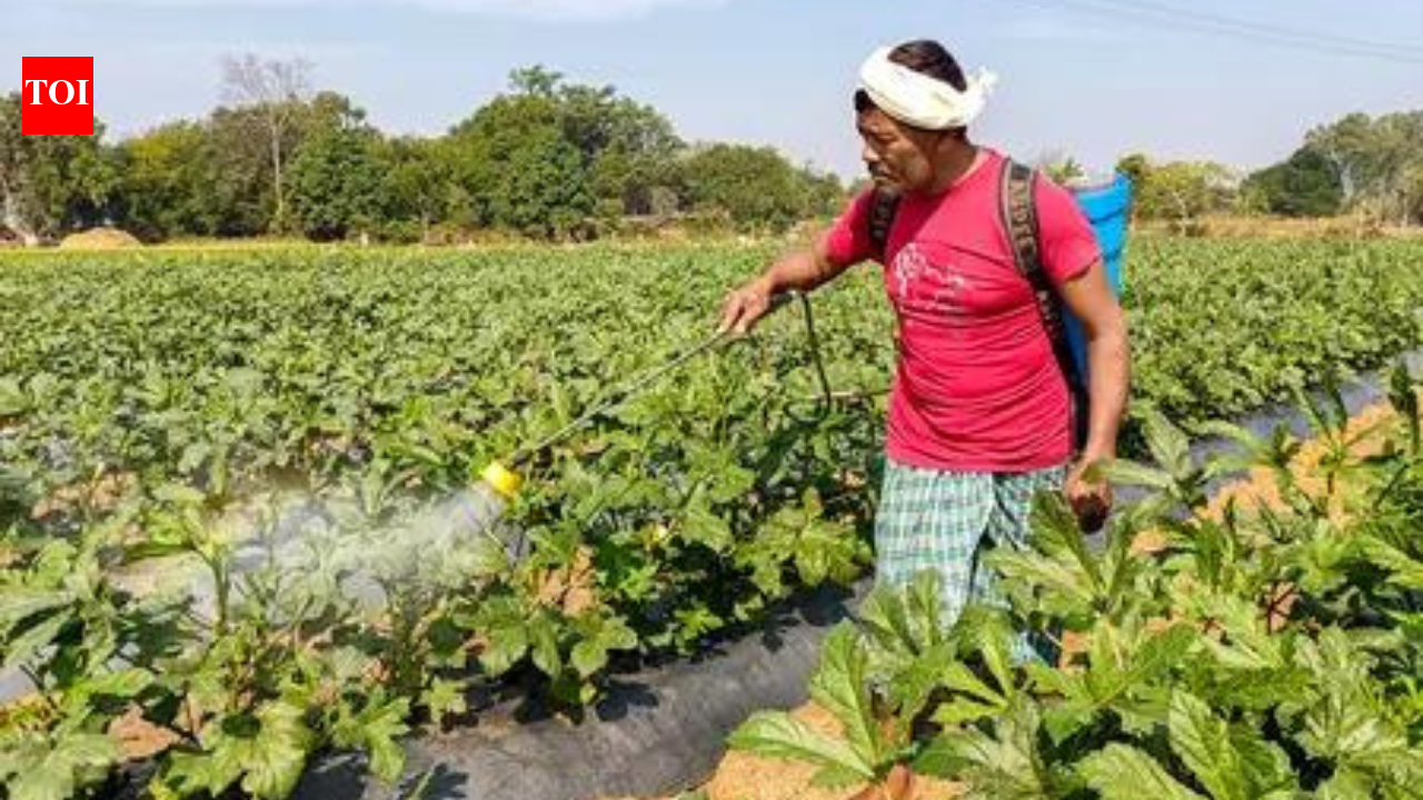 Monthly domestic urea output back to last year’s levels