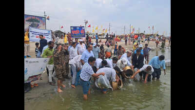 30K fish fingerlings released to restore Ganga ecology