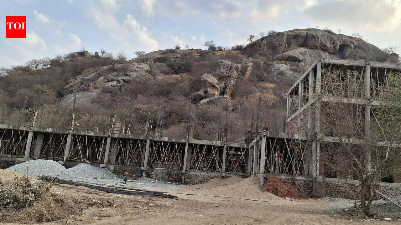 HC curb on Jawai constructions, tourism licences sparks livelihood fears