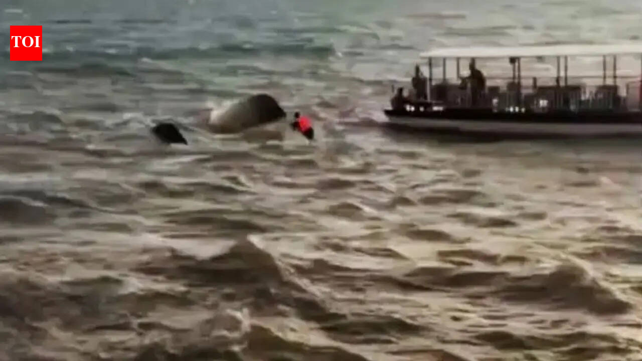 Cruise boat capsize: Tragedy exposes safety gaps, mirrors past lapses in Bhopal