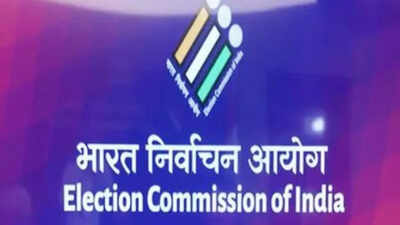 Election Commision mandates QR verification at counting halls