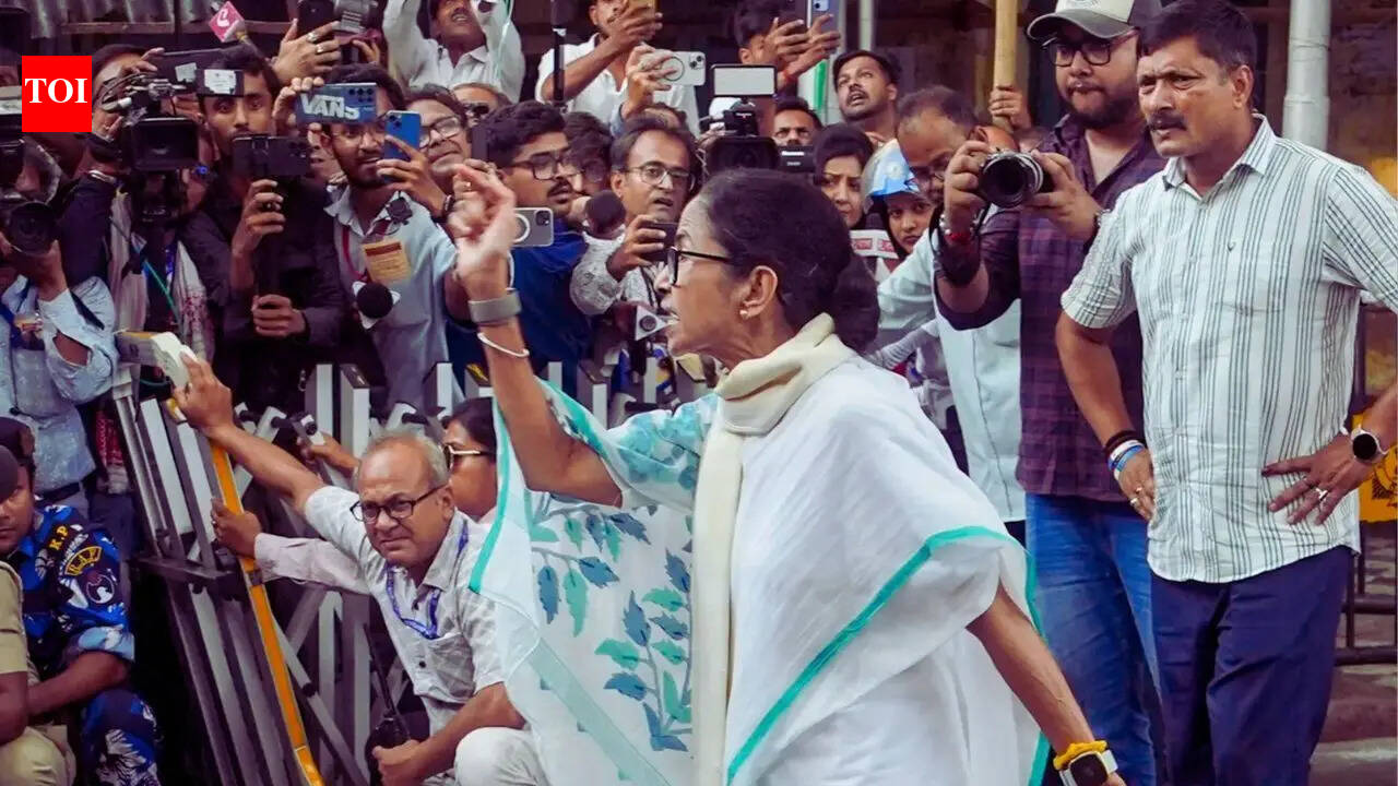 'Money, muscle and weapons': Mamata Banerjee on night vigil as TMC, BJP face-off reaches strongrooms