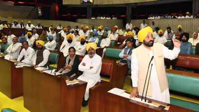 Anglican Church moves high court against Punjab's anti-sacrilege law