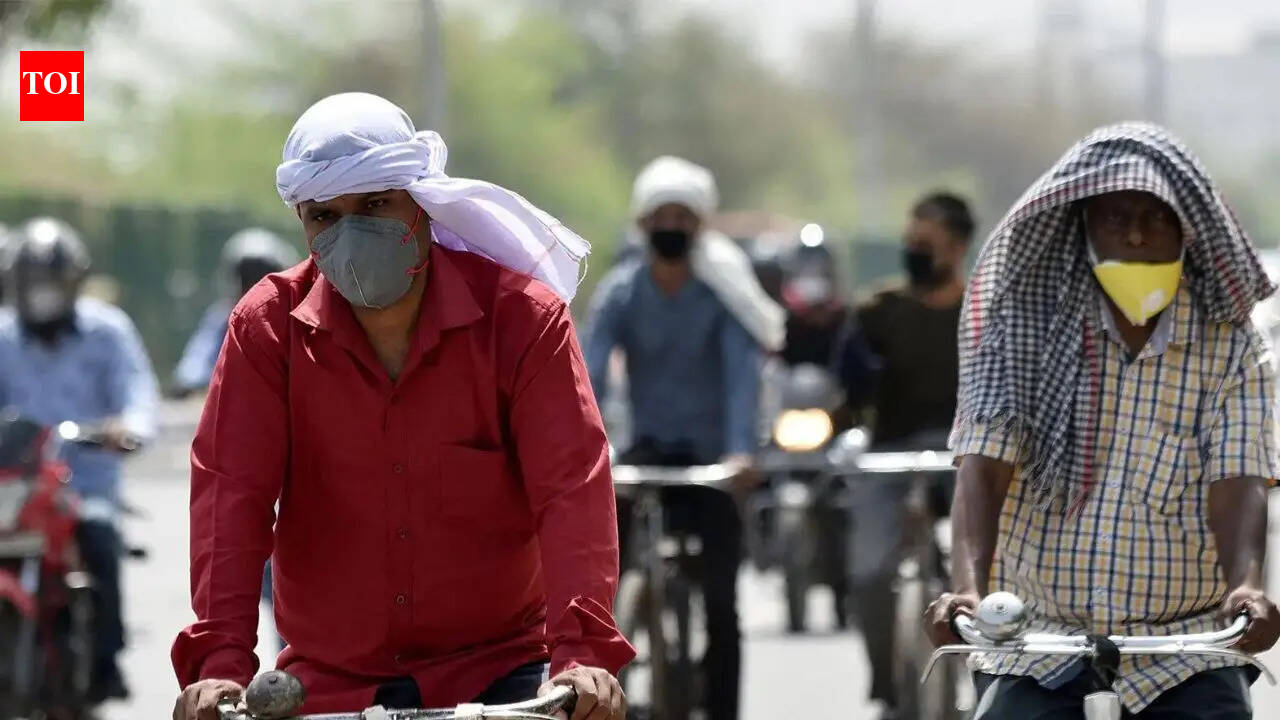 Karnataka heatwave: Erratic pre-monsoon showers cool down quarter of state, while others blaze, touching 44 degrees