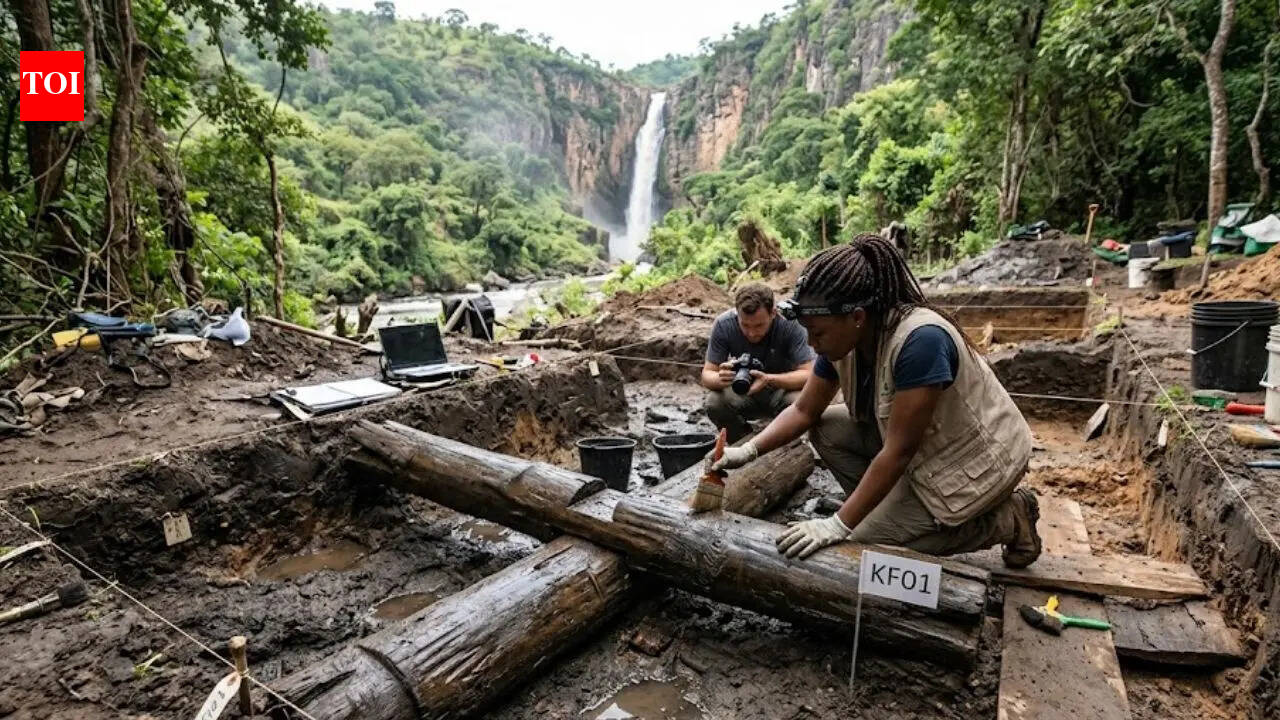 A 476,000-year-old wooden structure found in Kalambo Falls is changing human history