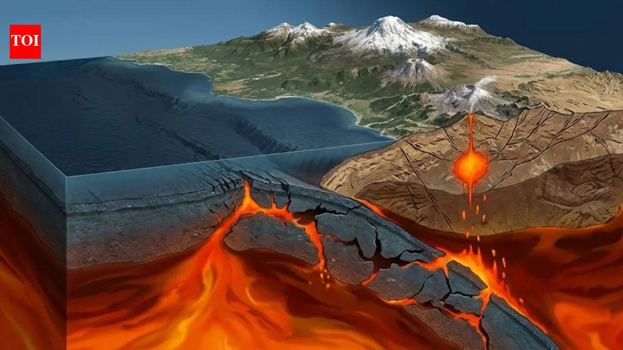Earth’s tectonic plate is cracking beneath Cascadia Subduction Zone