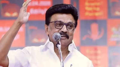 Tamil Nadu polls: Stalin meets DMK leaders, discusses arrangements for May 4