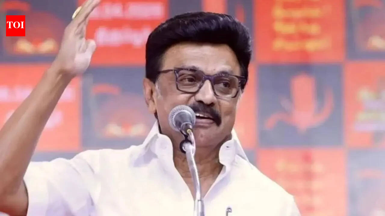 Tamil Nadu polls: Stalin meets DMK senior leaders, discusses arrangements for May 4