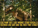 &lsquo;Jurassic Park&rsquo; got T. rex wrong? Study reveals giant had ostrich-like gait and toe-first foot structure