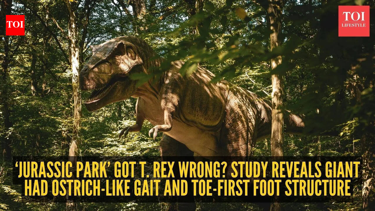 ‘Jurassic Park’ got T. rex wrong? Study reveals giant had ostrich-like gait and toe-first foot structure