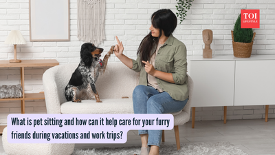 What is pet sitting and how can it help care for your furry friends during vacations and work trips?