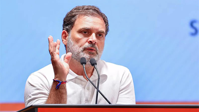 Allahabad HC rejects plea seeking FIR against Rahul Gandhi over ‘fighting the Indian State’ remark | India News – The Times of India