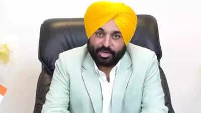 'All speculations put to rest': Bhagwant Mann as AAP govt wins trust vote in Punjab assembly