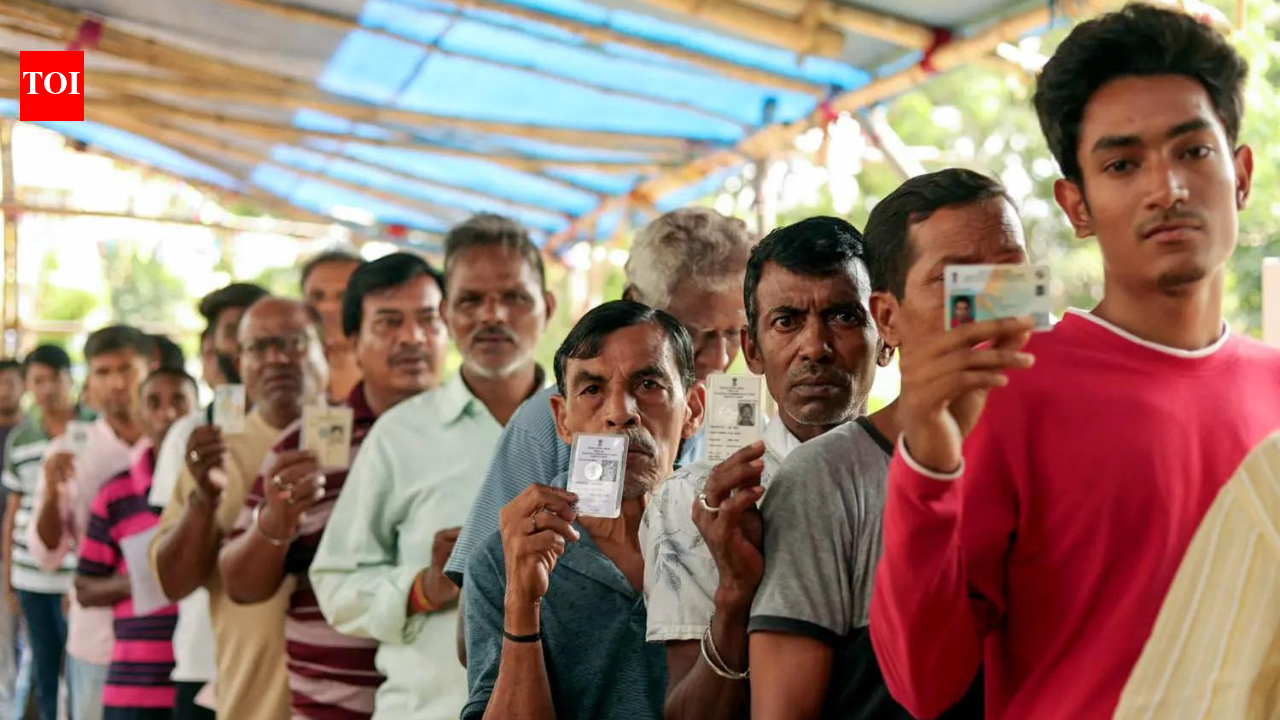 EC orders repoll in 15 booths across Bengal's Magrahat Paschim, Diamond Harbour on May 2