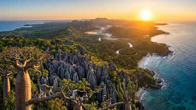Isolated for 180 million years: How Madagascar became a hotspot for Earth's unique creatures
