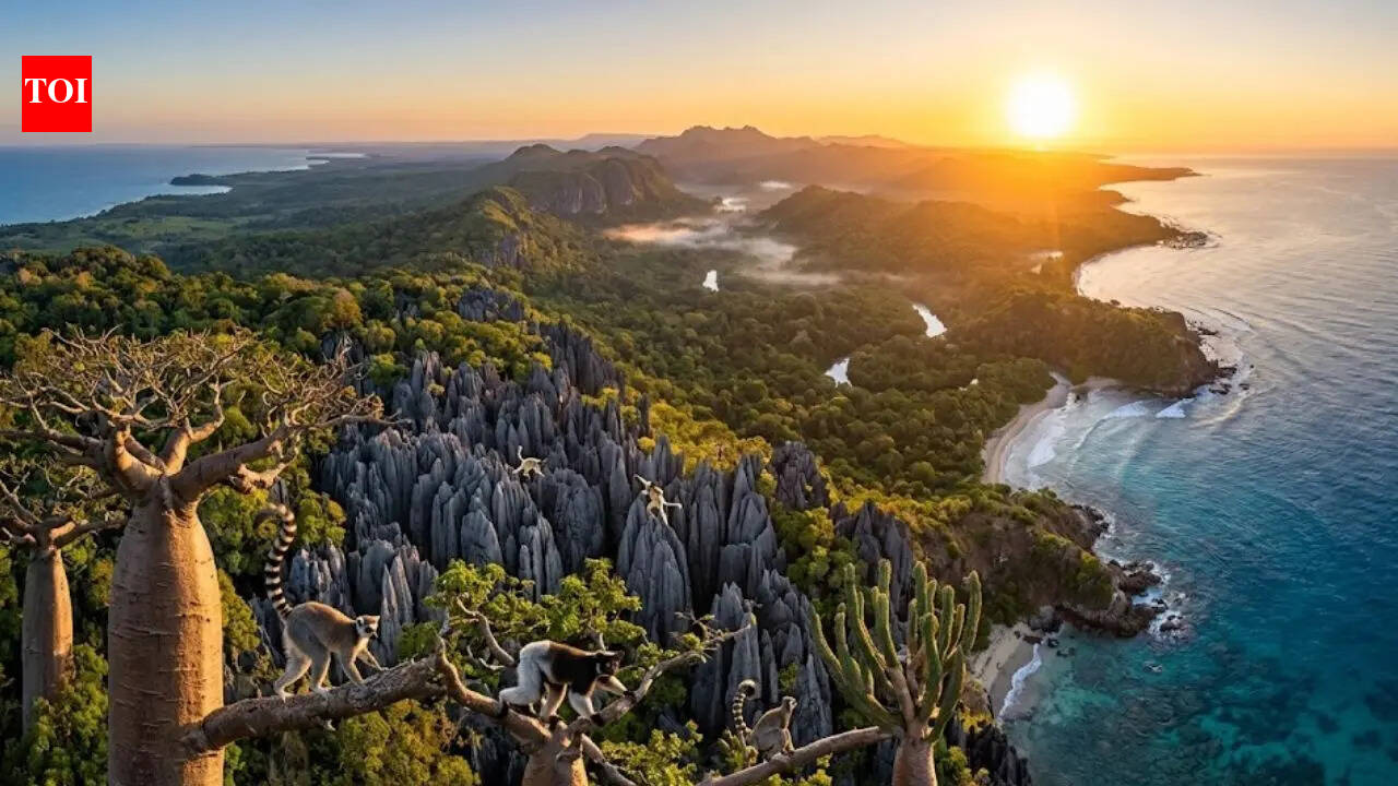 Remained isolated for 180 million years: How Madagascar Island became a hotspot for Earth’s unique creatures