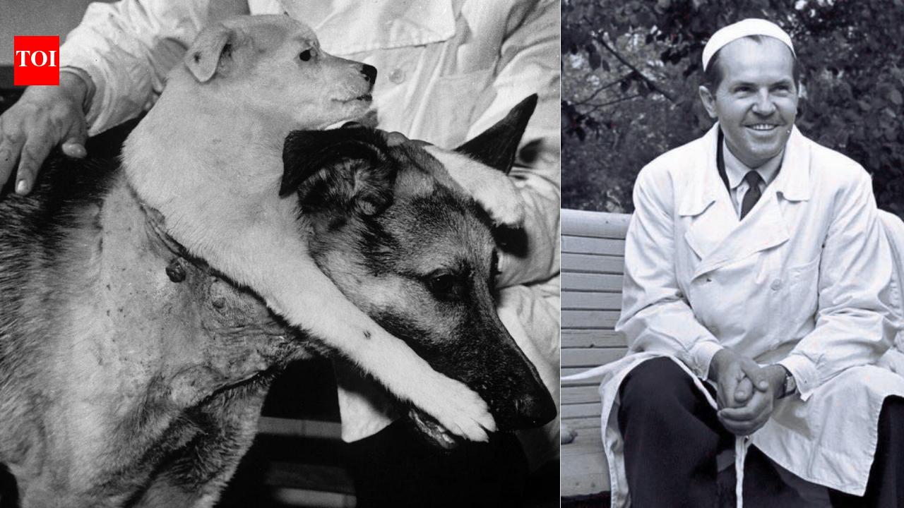 Meet Vladimir Demikhov: Scientist who created a two-headed dog and changed medicine forever