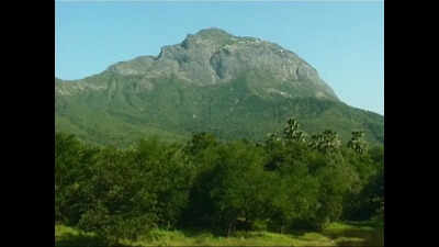 Monks seek scrapping ESZ status for Girnar sanctuary