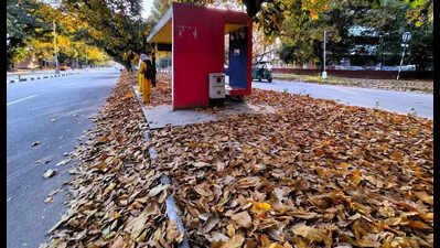 MC house approves agency for new 60 TPD horticulture waste plant