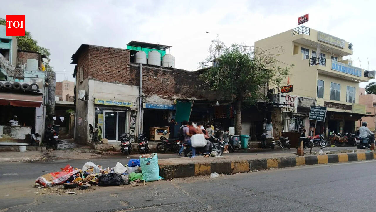 Sanitation drive in Jaipur fades as garbage piles back on streets