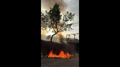 Sanitation drive in Jaipur fades as garbage piles back on streets