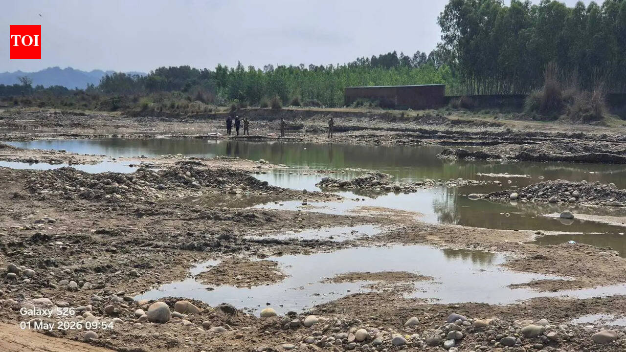 13yo killed in crocodile attack while bathing in pond