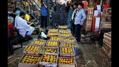 Maharashtra: Mango cultivators warn of decline in Alphonso output