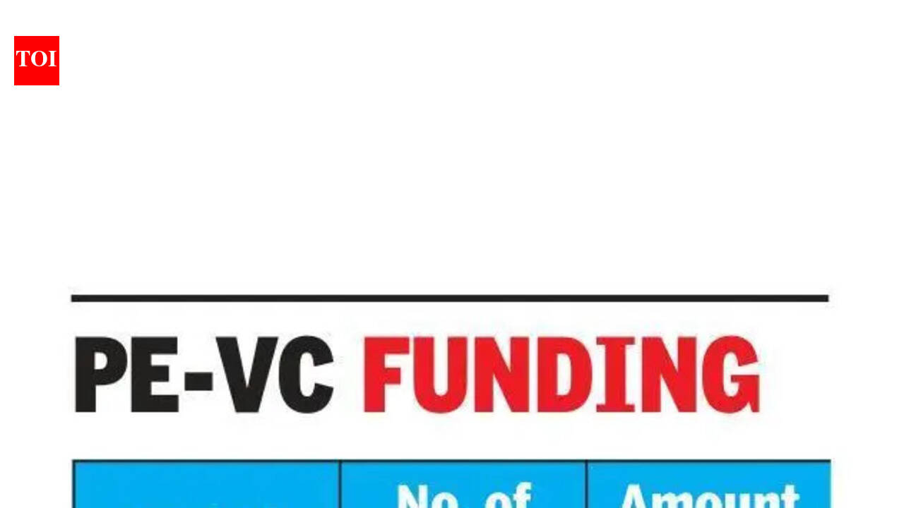 IPO delay, macro climate drag growth, late-stage PE-VC investment