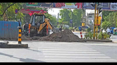 Ahmedabad swaps paver blocks for greenery at 100 junctions