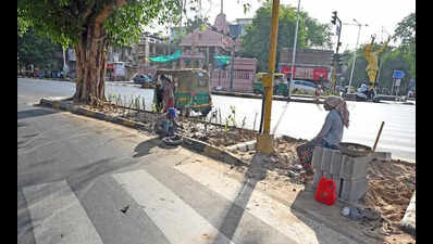 Ahmedabad swaps paver blocks for greenery at 100 junctions