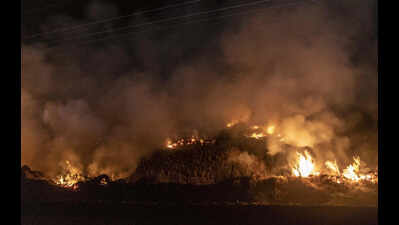 Sharp spike in wheat stubble fires, April incidents jump nearly 2.6 times from last year