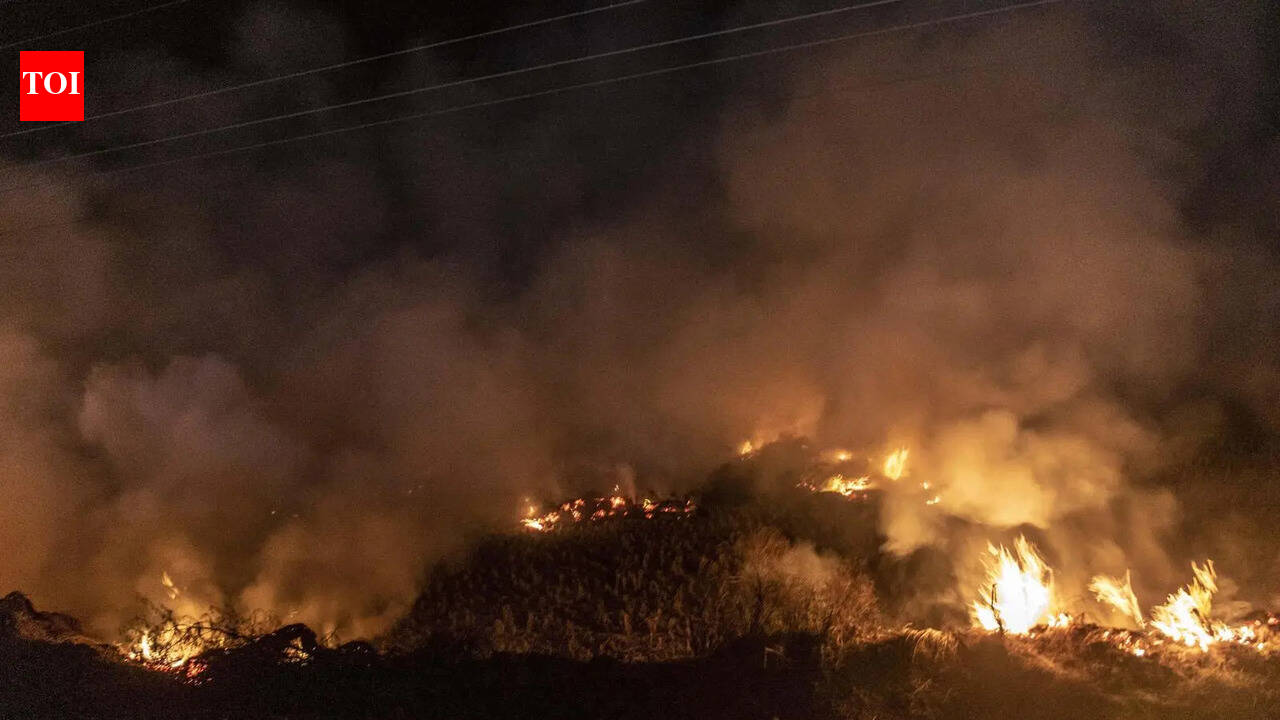 Sharp spike in wheat stubble fires, April incidents jump nearly 2.6 times from last year