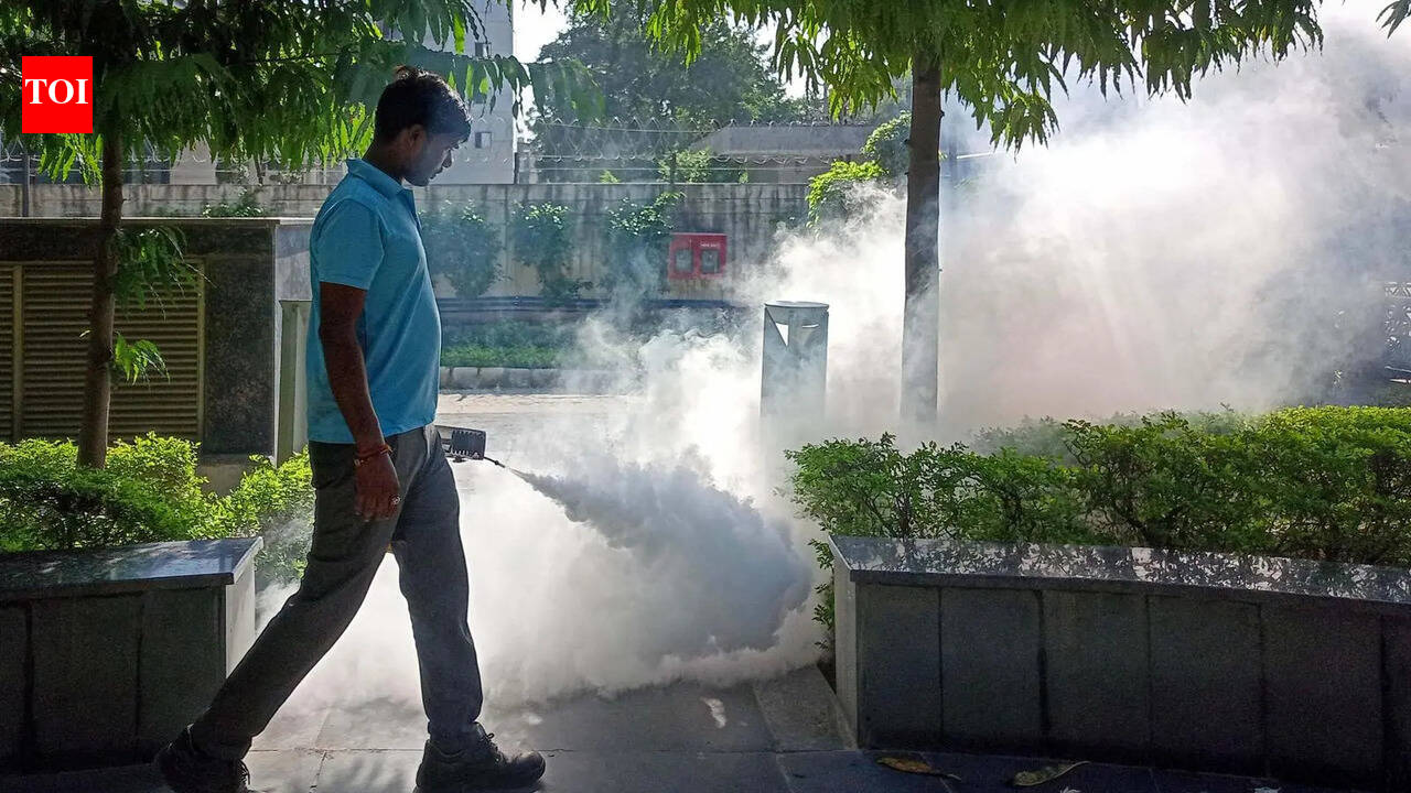 Gurgaon launches fever survey amid fears of early dengue, malaria rise