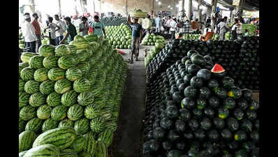 No adulteration detected in watermelon samples: UT