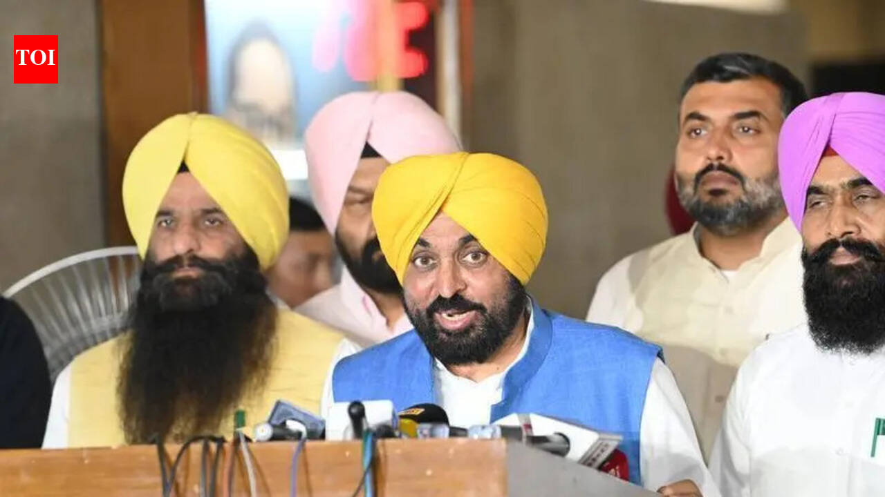 AAP govt wins trust motion in Punjab assembly; party united, says Mann