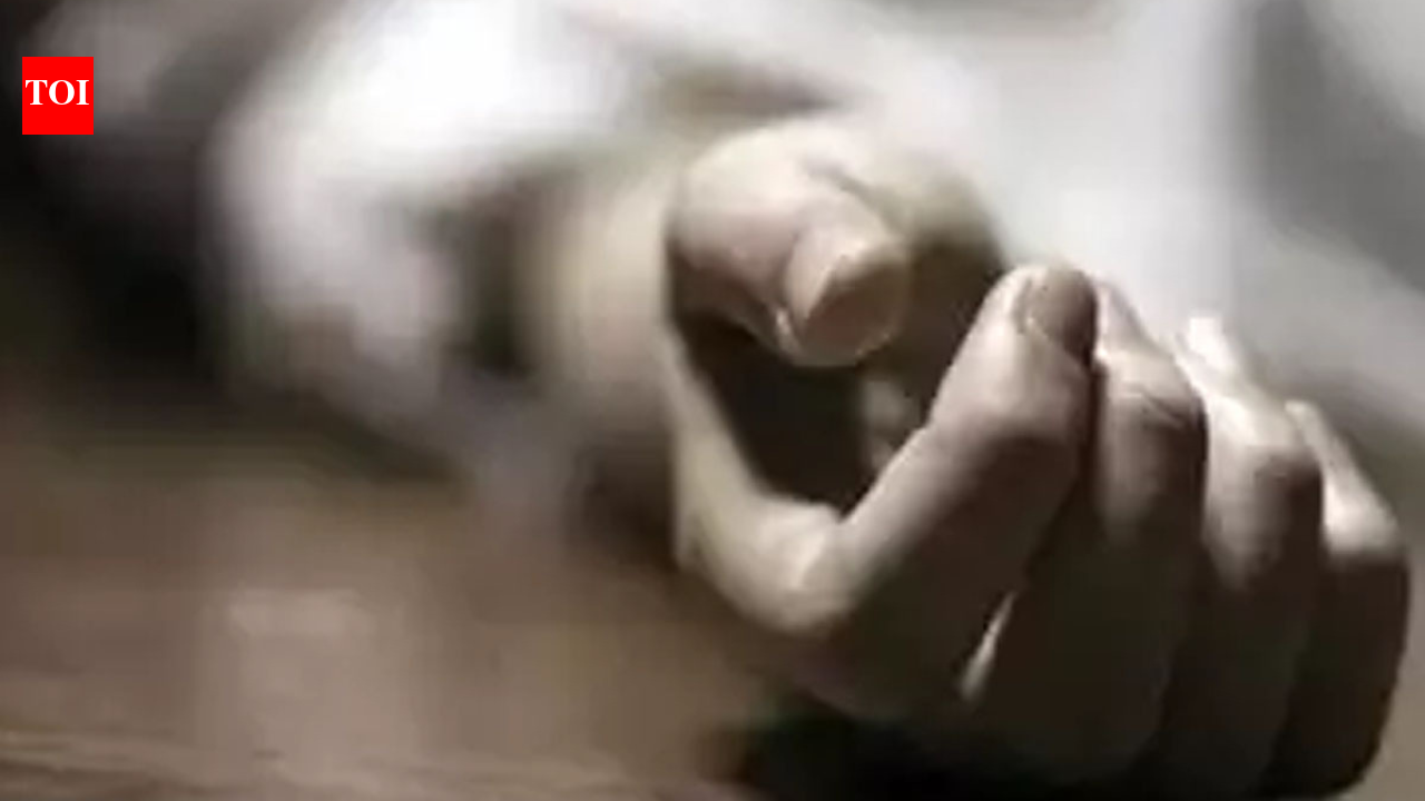 Two workers die as under-construction bridge collapses in Jammu