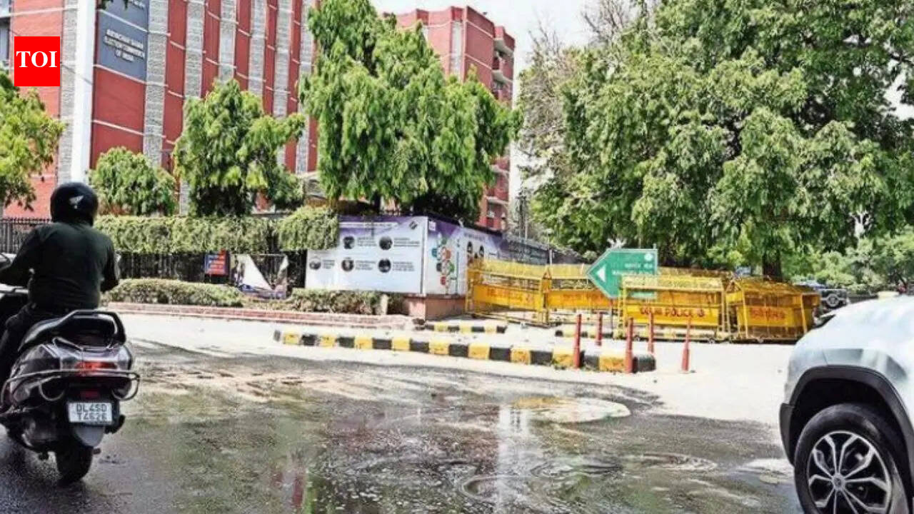 Ashoka Road accident: Killer truck got special permission from Delhi traffic cops despite 5 challans