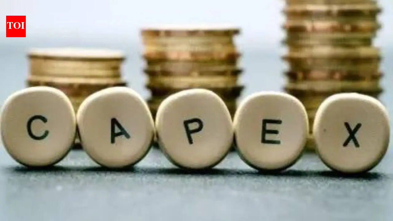 ‘Government to sustain capex despite West Asia crisis’