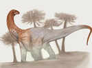 Meet Chucarosaurus: The colossal dinosaur so massive its fossils cracked roads; now reshaping the story of the Titanosaurs