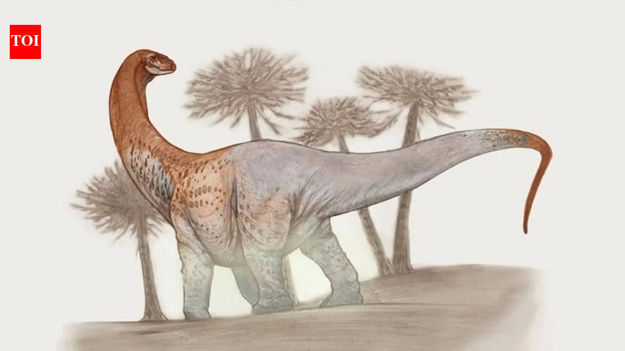 Meet Chucarosaurus: The colossal dinosaur so massive its fossils cracked roads; now reshaping the story of the Titanosaurs