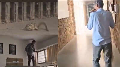 Squirrel scare at Rajasthan's University, bites several people on campus: Why squirrel bites are harmful and how to keep them away from home and garden